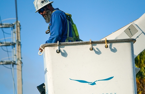 vegetation management