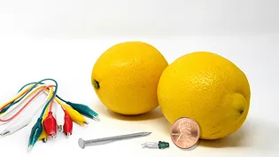 diy lemon materials
