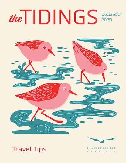 tidings december 2025